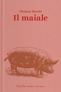 Il maiale Thomas Macho