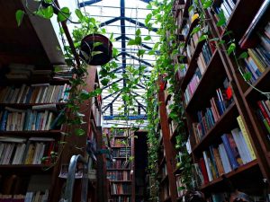 babilonia libros