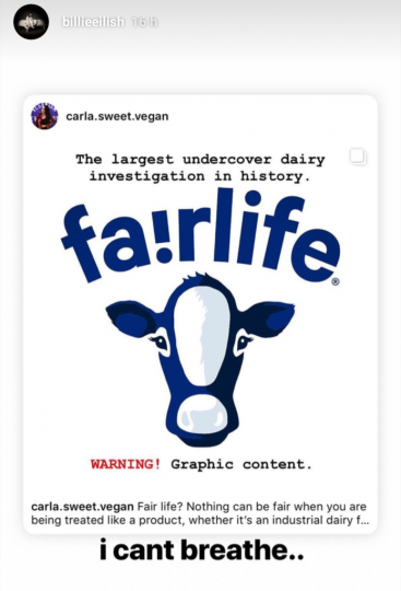 billie eilish vegan instagram