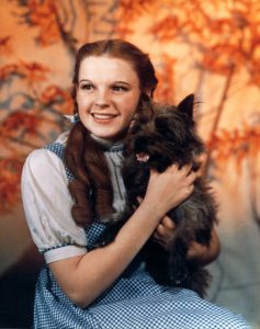 Dorothy-Gale