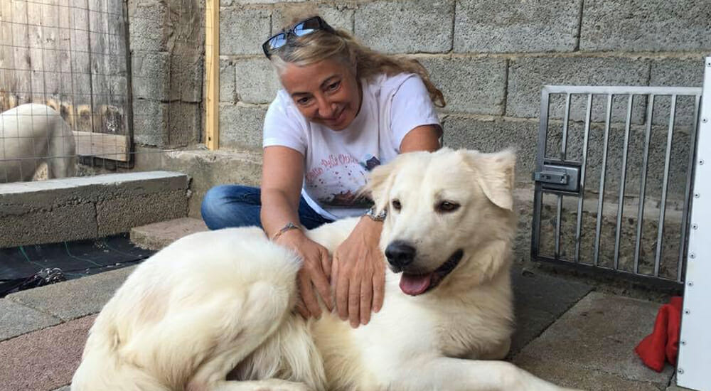 Monica Pais racconta la "Storia del cane che non voleva più amare"