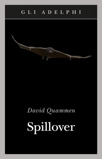 spillover