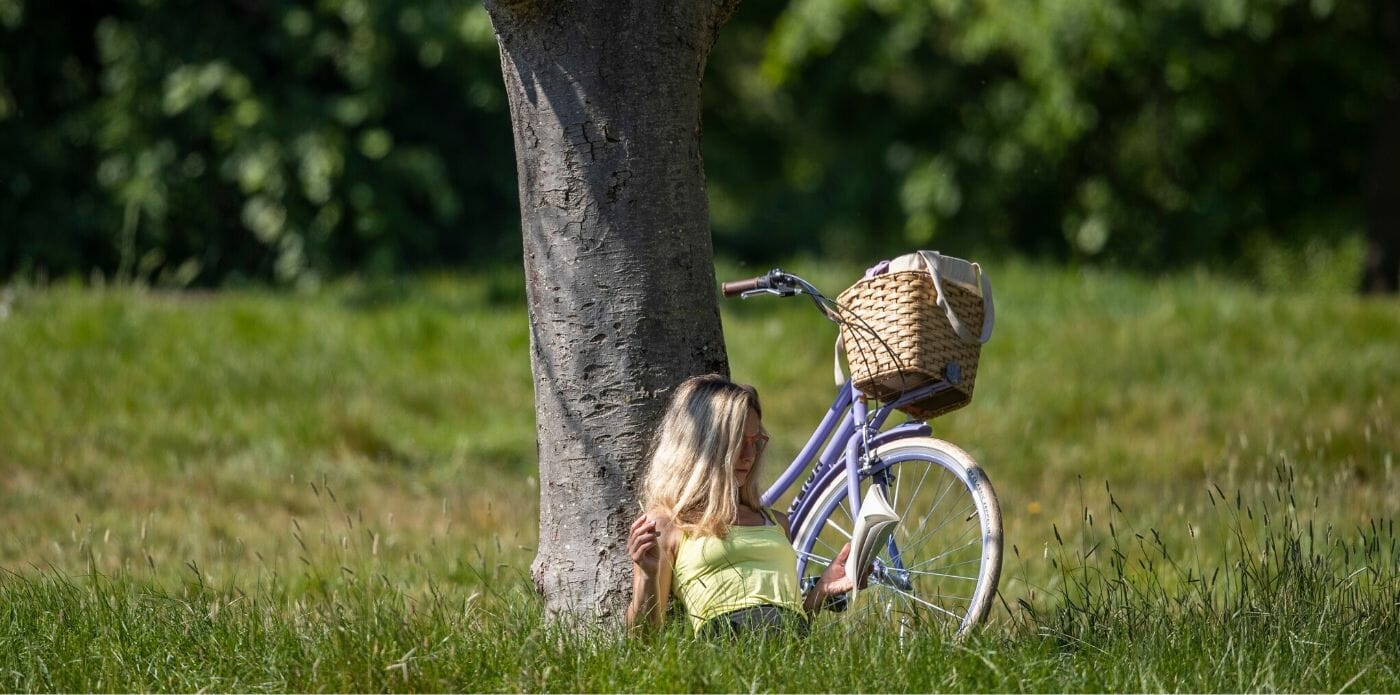 libro libri lettura leggere estate lettrice libro libri parco natura