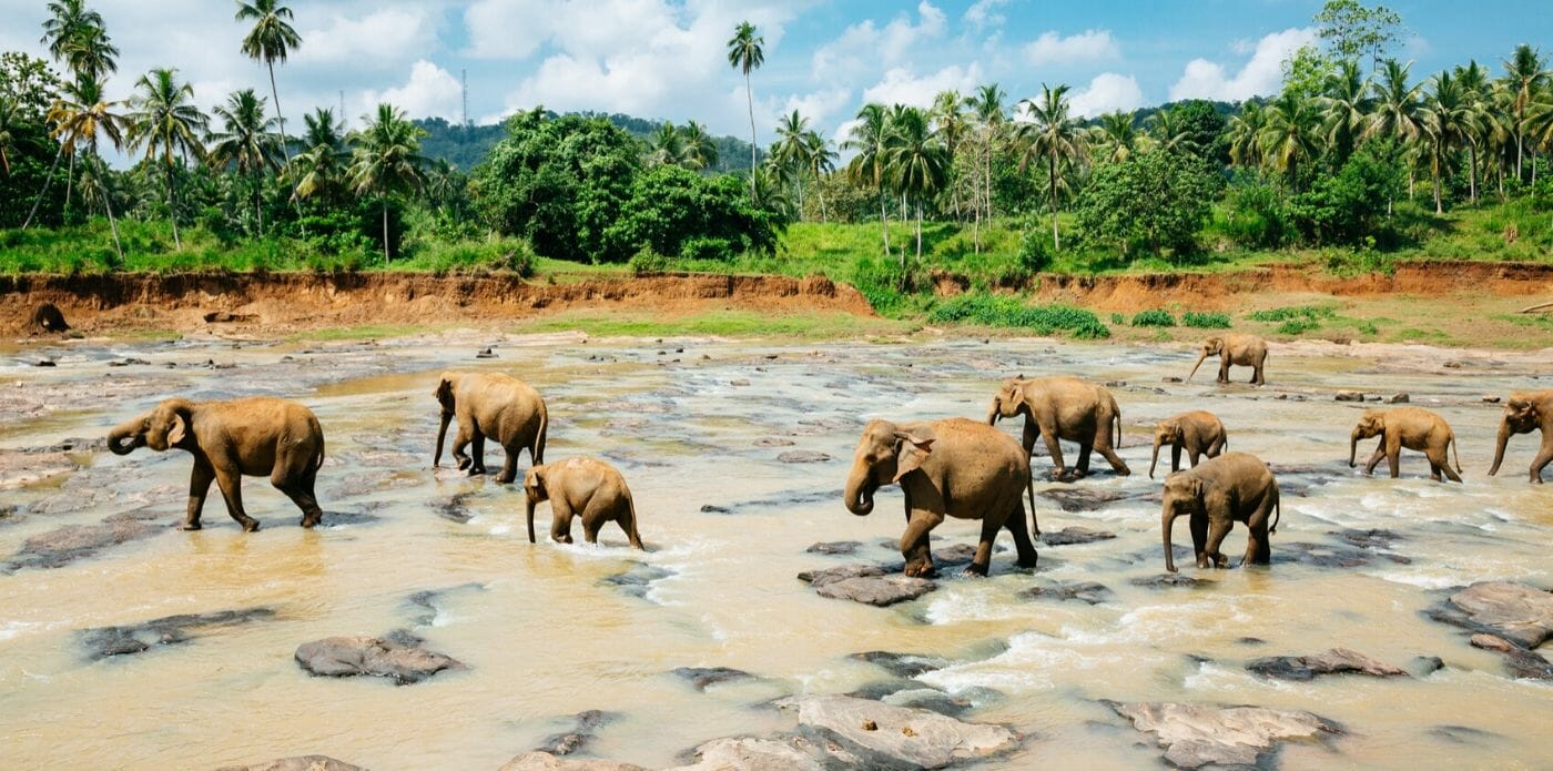 sri lanka