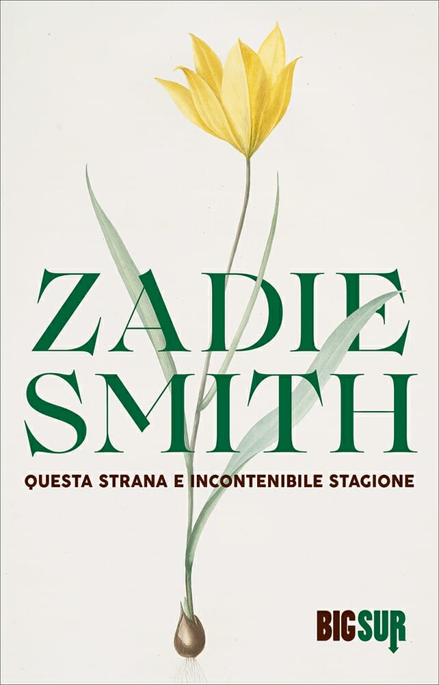 zadie smith questa strana e incontenibile stagione