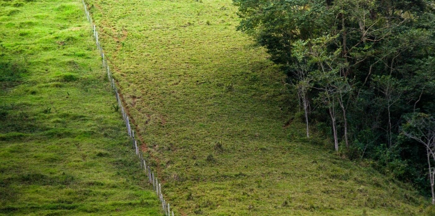 bosco confine italia balcani