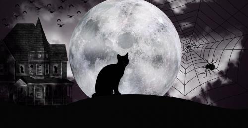 libri halloween