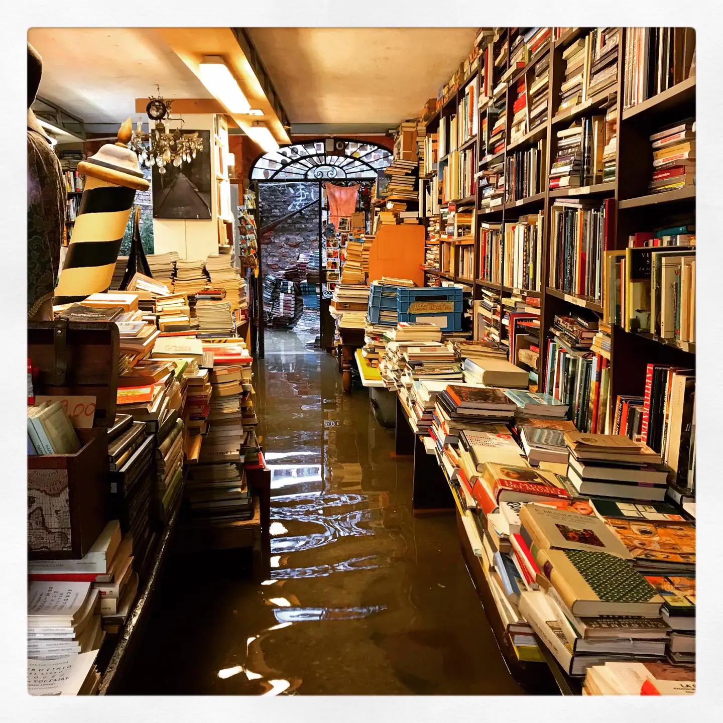 Maltempo, di nuovo allagata la Libreria Acqua Alta di Venezia 