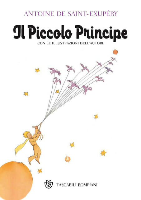 storie per bambini il piccolo principe