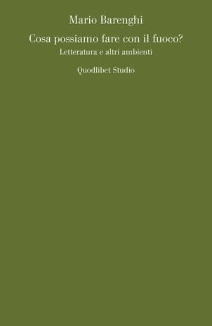 critica letteraria cosa possiamo fare con il fuoco
