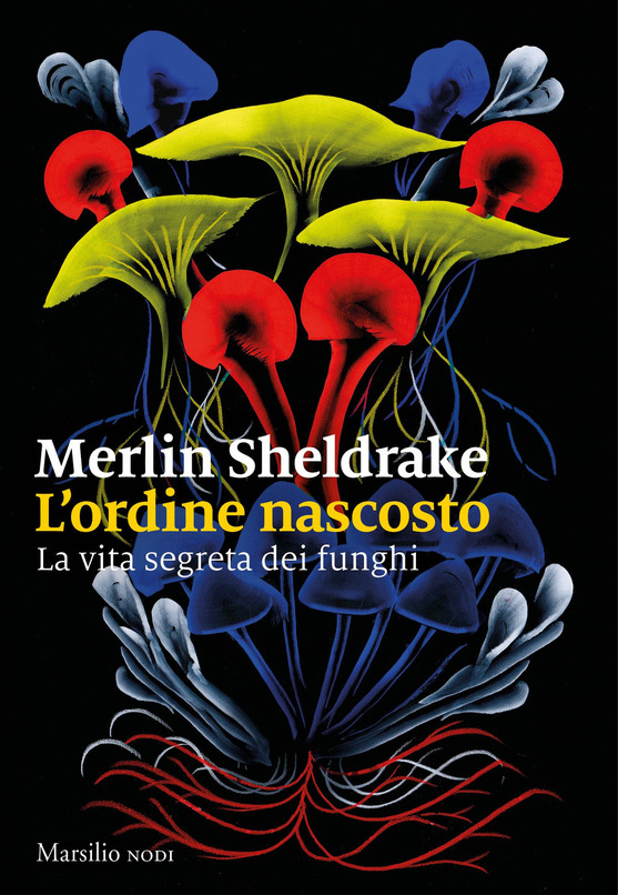 L'ordine nascosto di Merlin Sheldrake