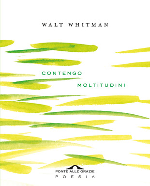copertina della raccolta di poesie con testo in inglese "contengo moltitudini"