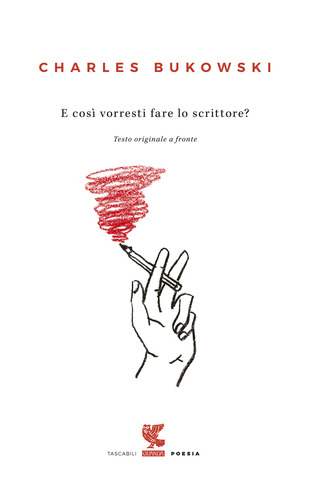 copertina del libro "e così vorresti fare lo scrittore"