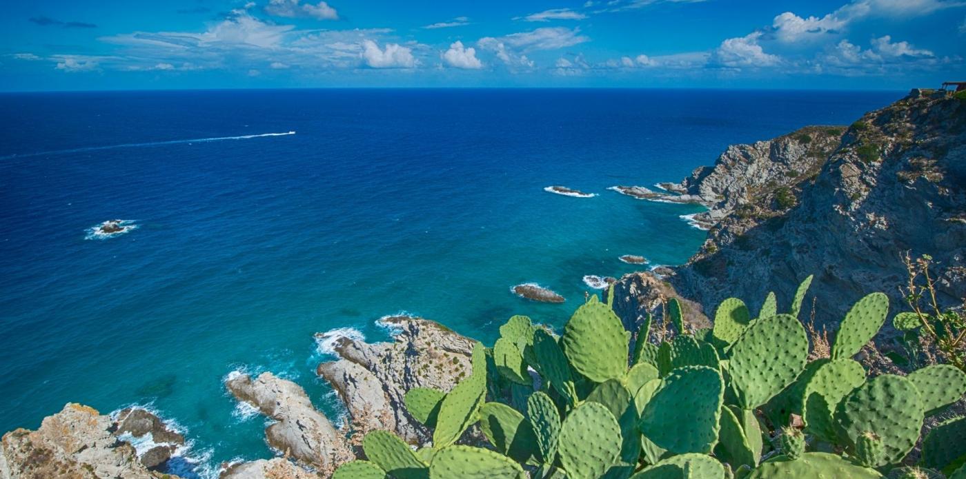Costa calabrese con cactus in primo piano e mare e scogli in secondo piano