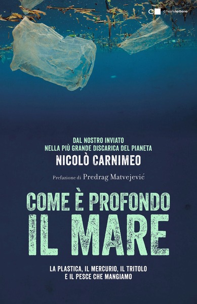 copertina del libro com'è profondo il mare