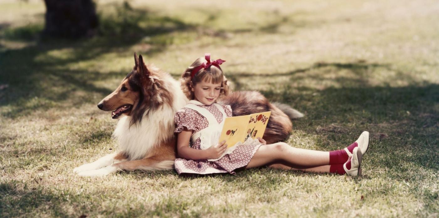 Una bambina legge su un prato mentre sta appoggiata a un cane