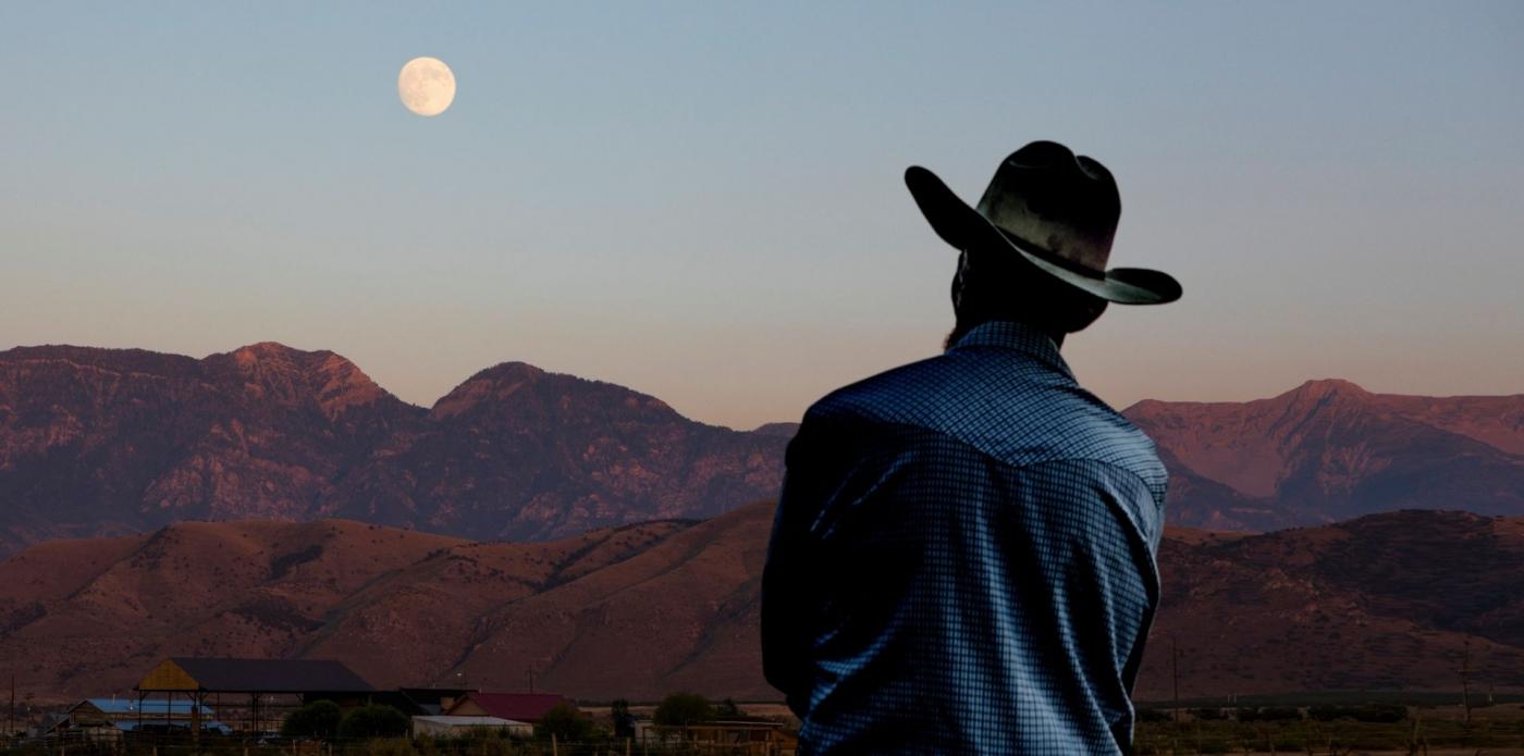 Un uomo di spalle su un prato guarda in cielo la luna