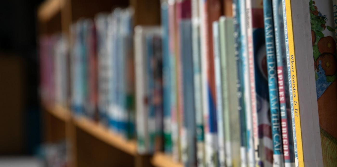 Primo piano di uno scaffale di una libreria pieno di libri