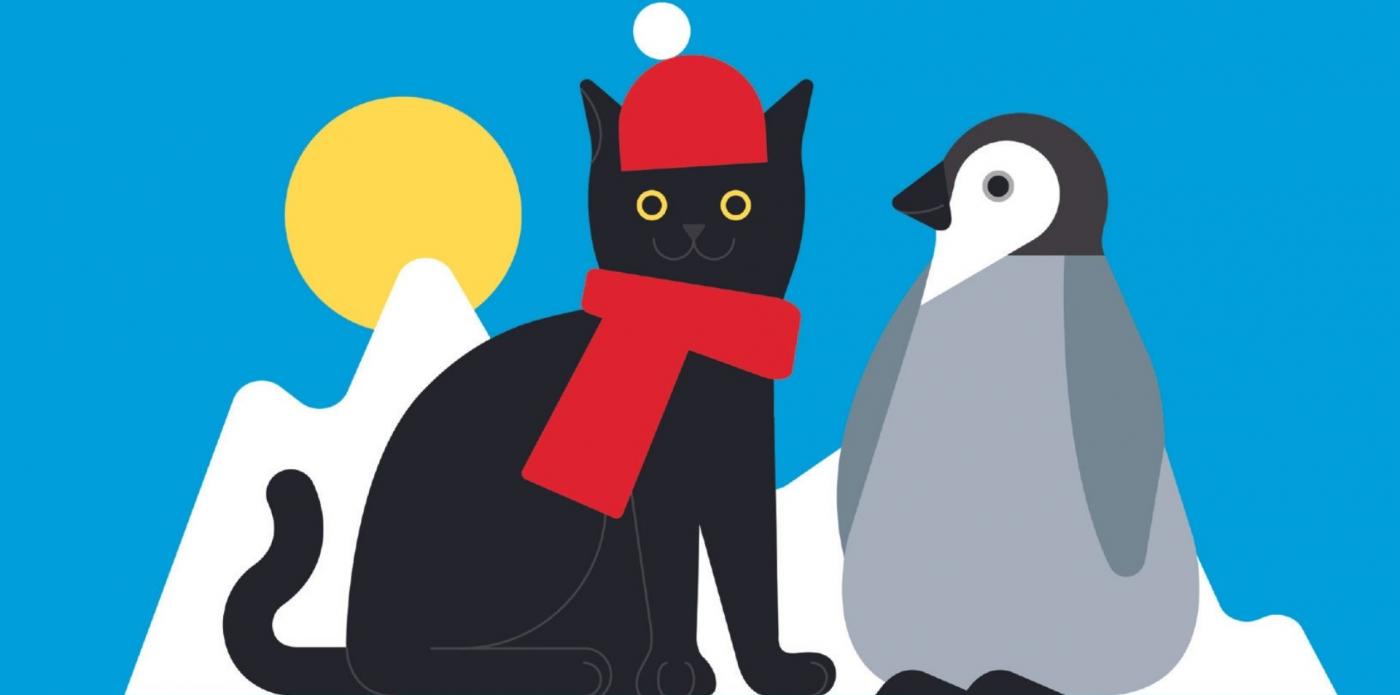 Storia di Milo, il gatto che andò al Polo Sud per aiutare un cucciolo di pinguino