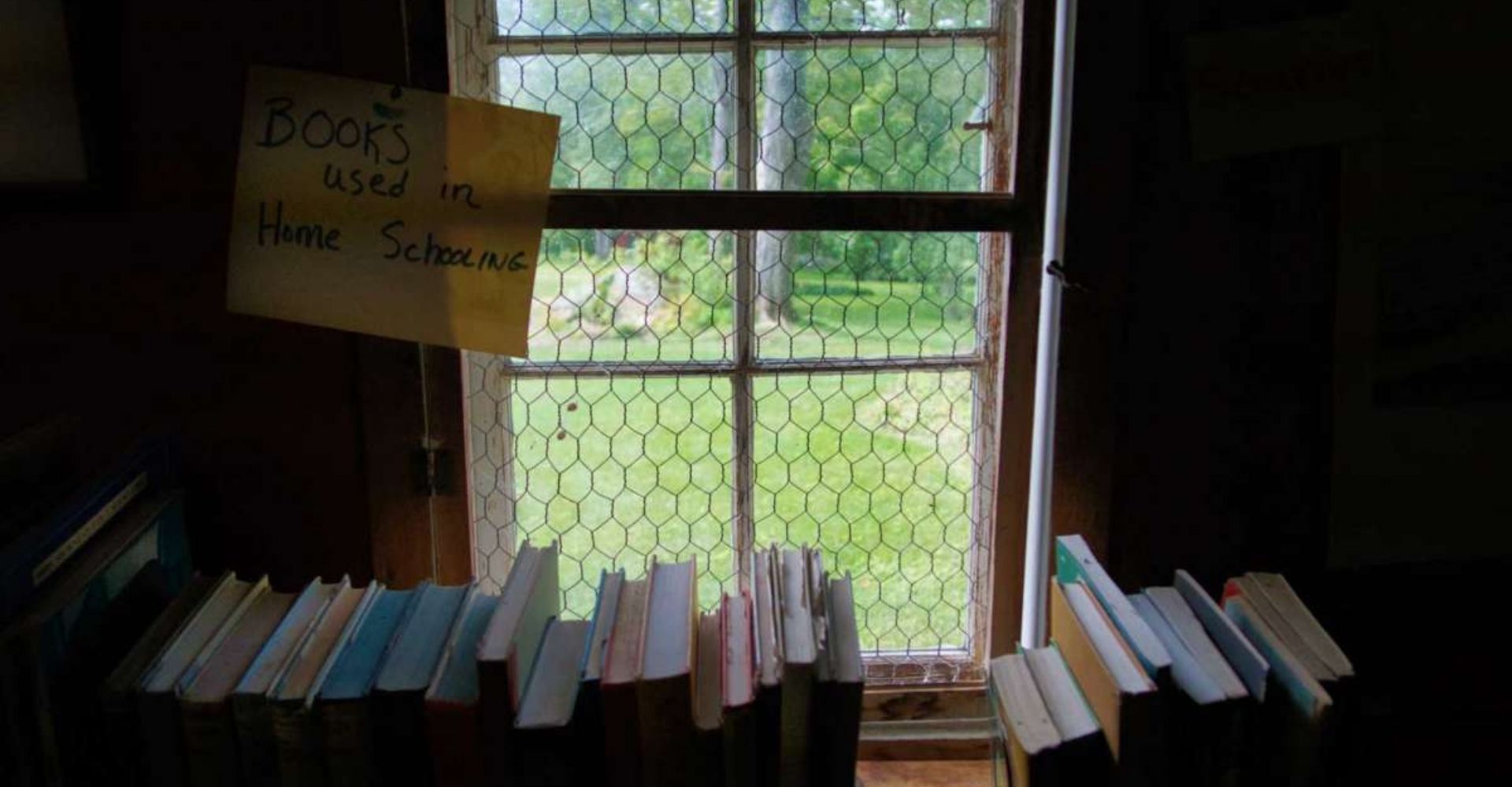 Uno scaffale accanto a una finestra nella libreria "Owl Pen Books"