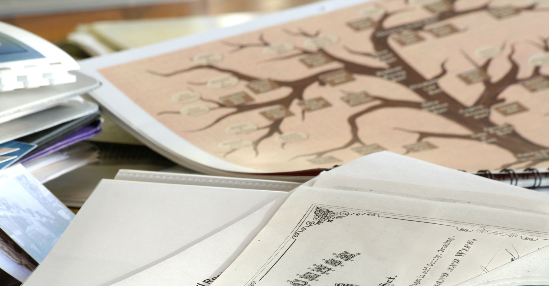 Alcuni fogli su una scrivania insieme a un albero genealogico