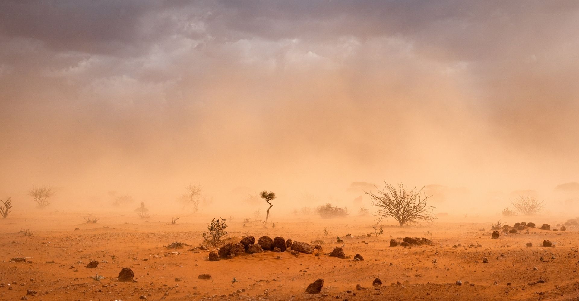 Perché il futuro della terra è nelle nostre mani