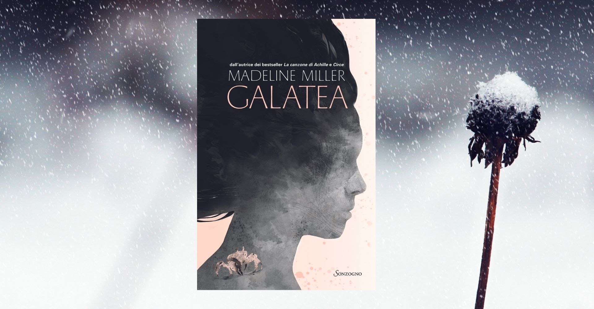 Copertina di Galatea di Madeline Miller