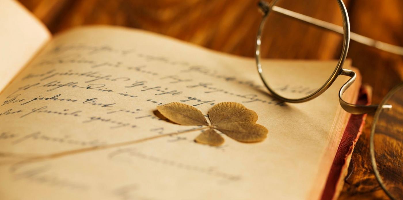emily dickinson e i suoi giardini