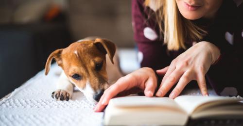 libri sui cani