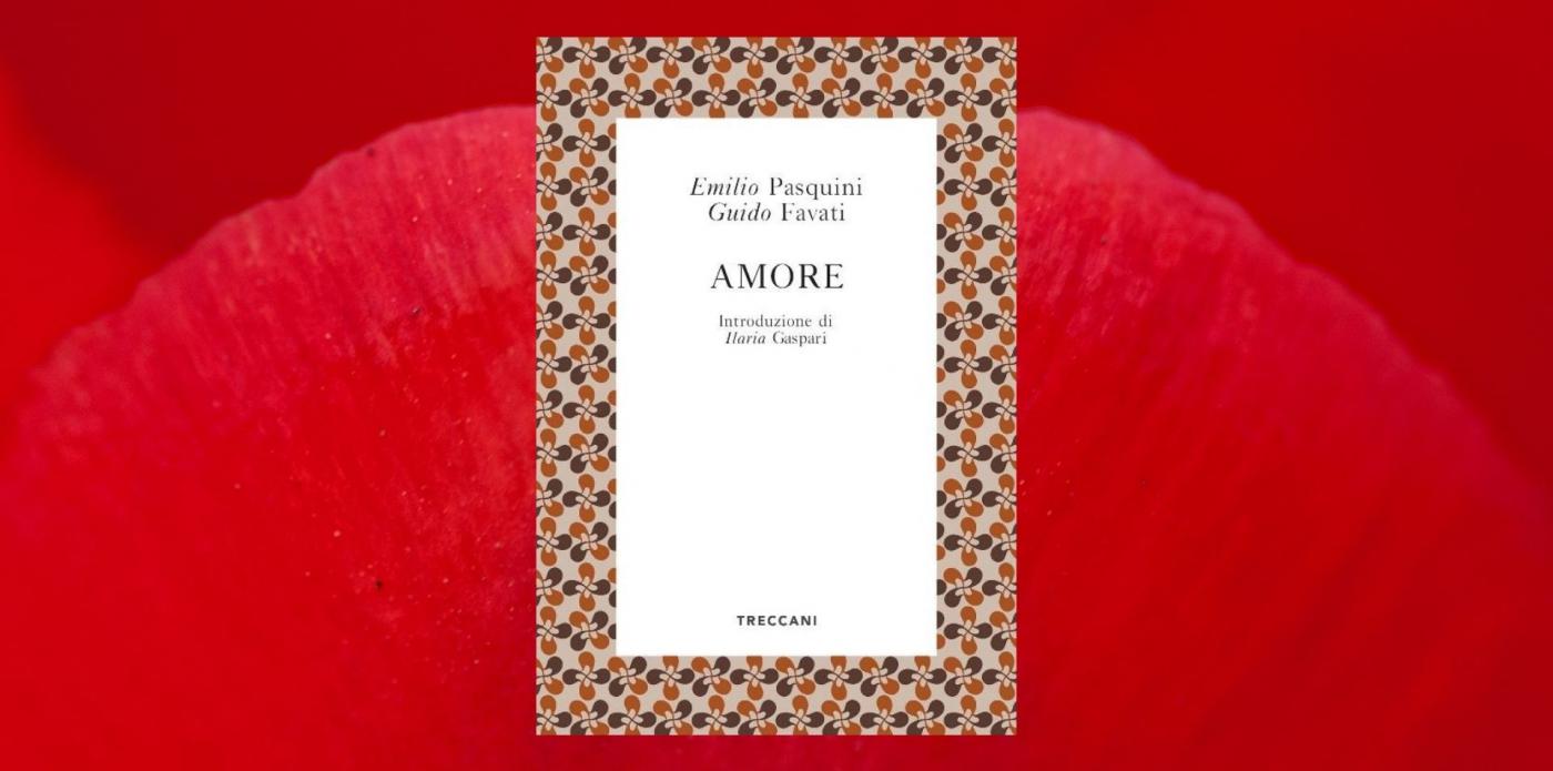 Copertina del libro Amore