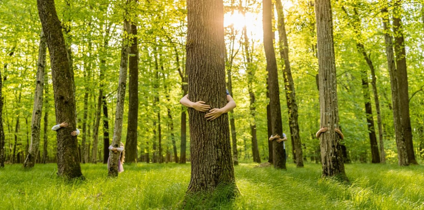 Libri per chi ama gli alberi (e vorrebbe proteggerli)