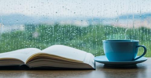 Libri da pioggia