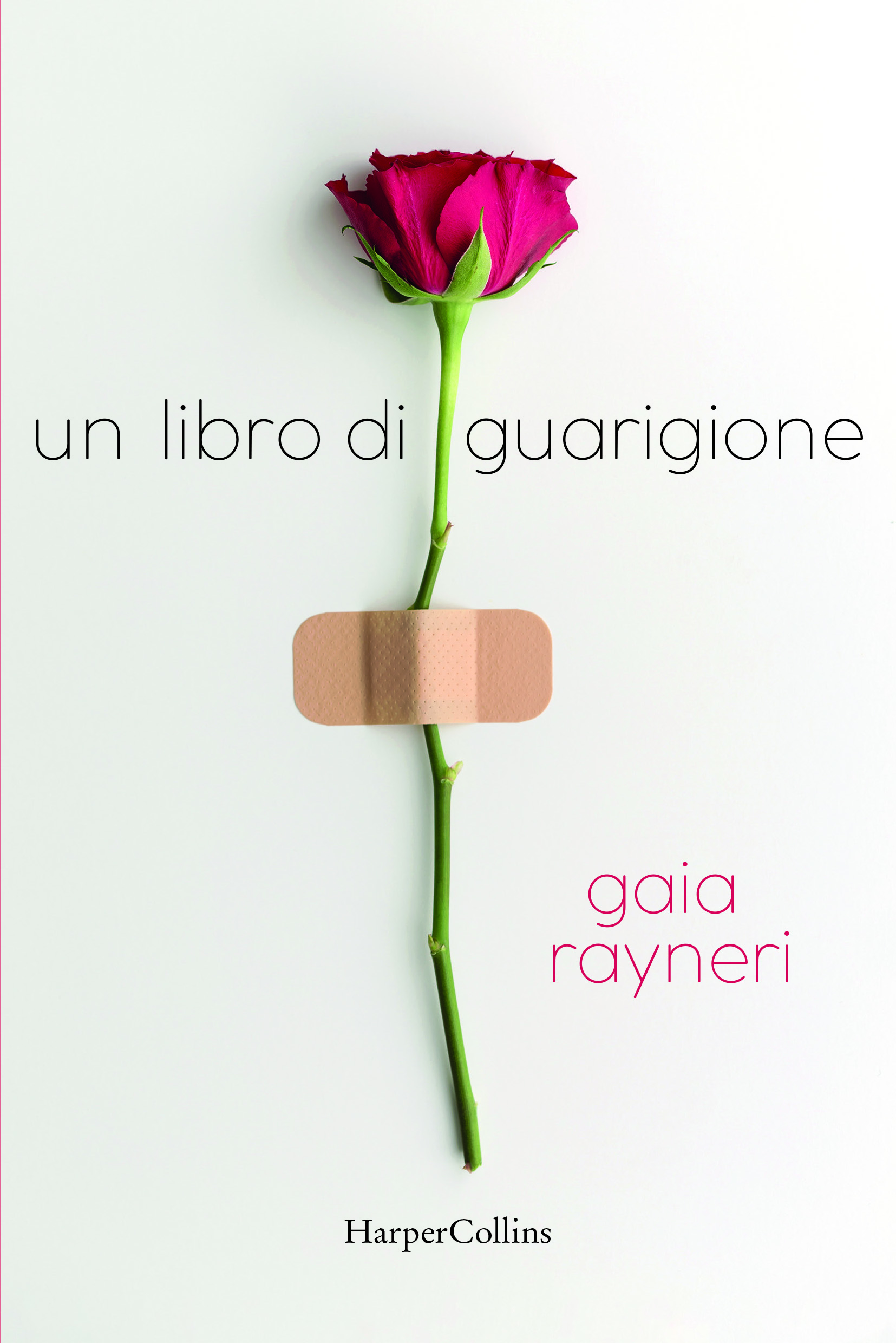 Rayneri_UnLibroDiGuarigione