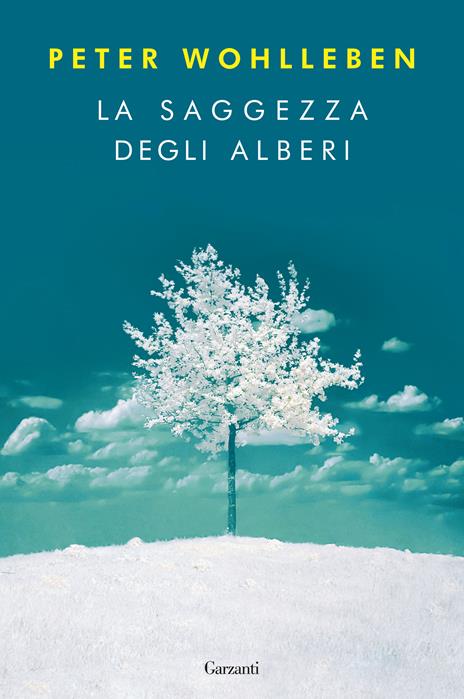 la saggezza degli alberi un libro per la giornata della terra