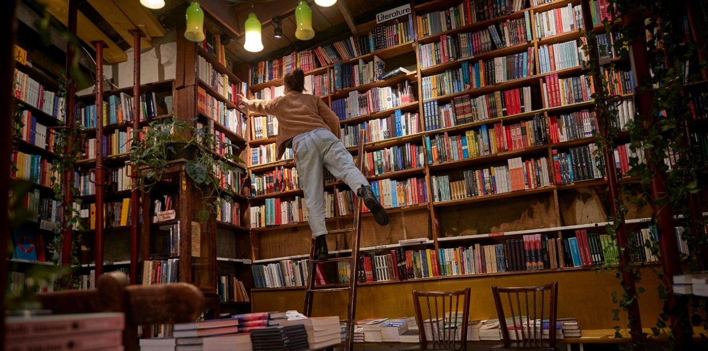 libreria, libri, lettura, ragazza, legge biblioteca libri libro lettrice