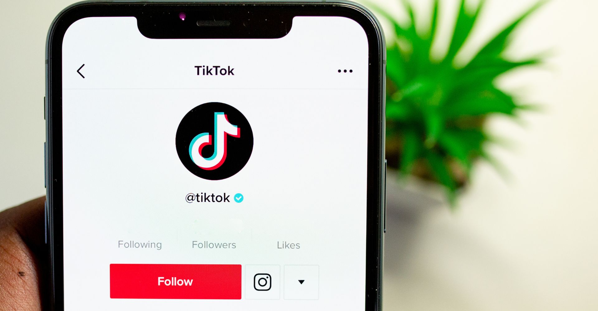 TikTok ha annunciato la nascita del suo club del libro ufficiale. Si parte con Jane Austen