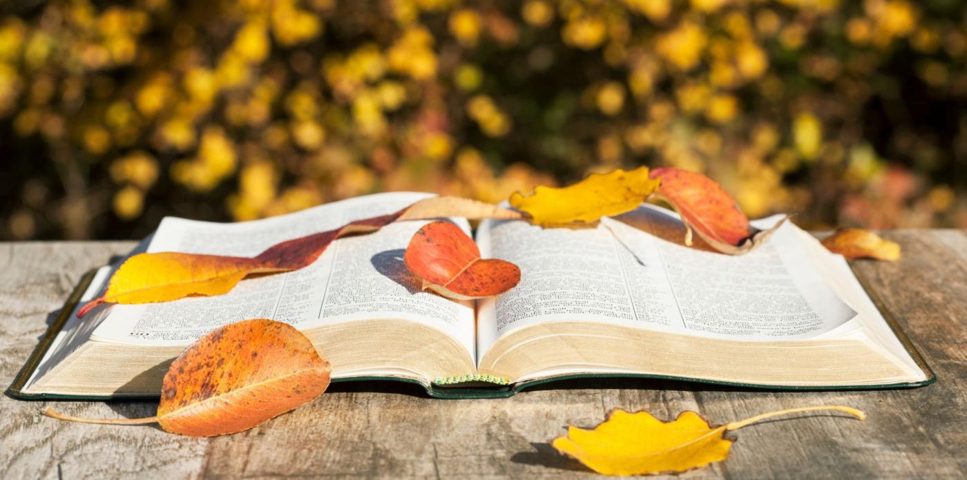Un libro aperto su tavolo, circondato dalle foglie dell'autunno