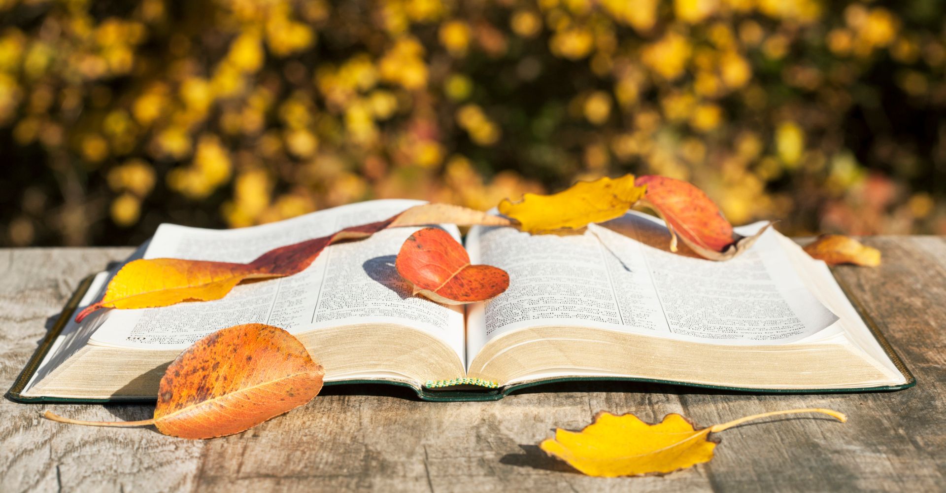 Un libro aperto su tavolo, circondato dalle foglie dell'autunno
