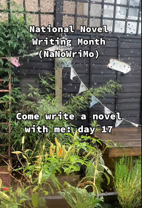 nanowrimo