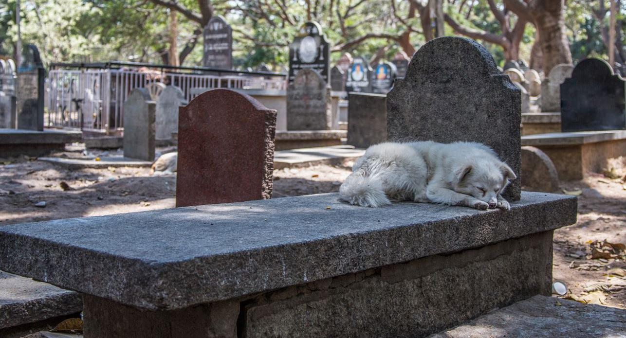 cimitero lutto morte