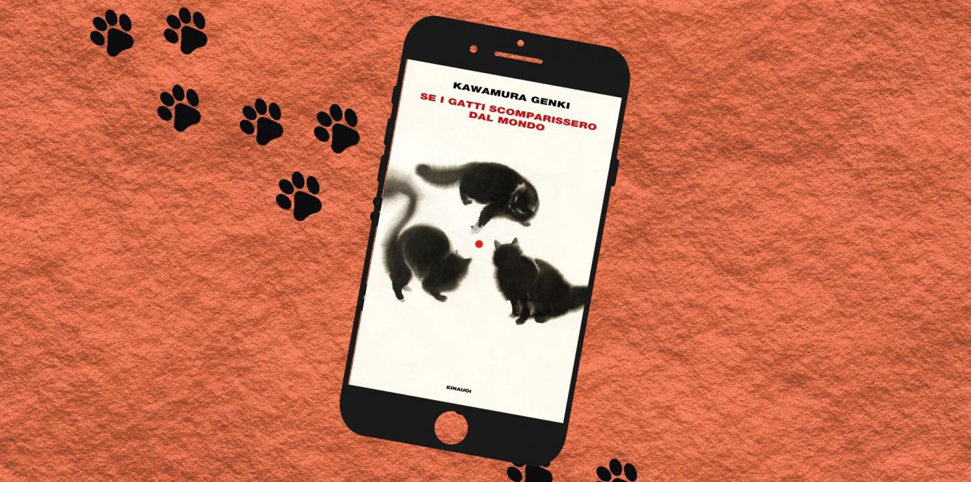 la riscoperta di se i gatti scomparissero dal mondo
