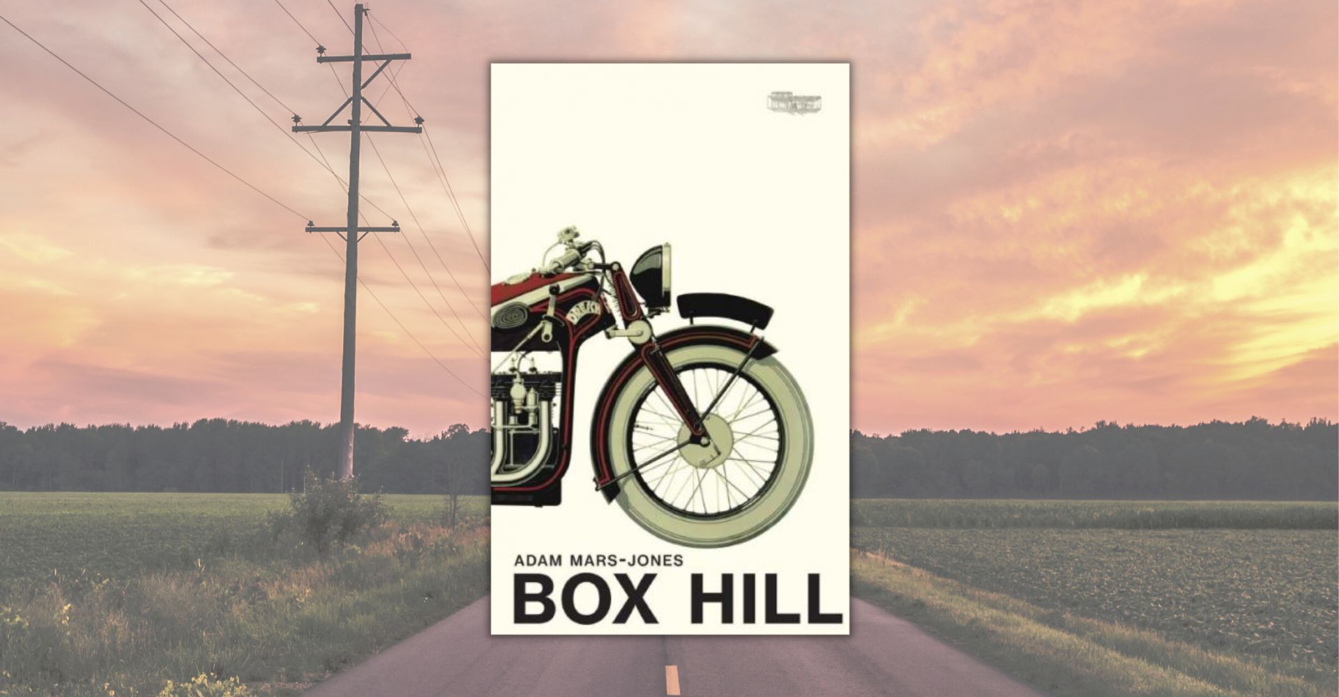 Box Hill di Adam Mars-Jones