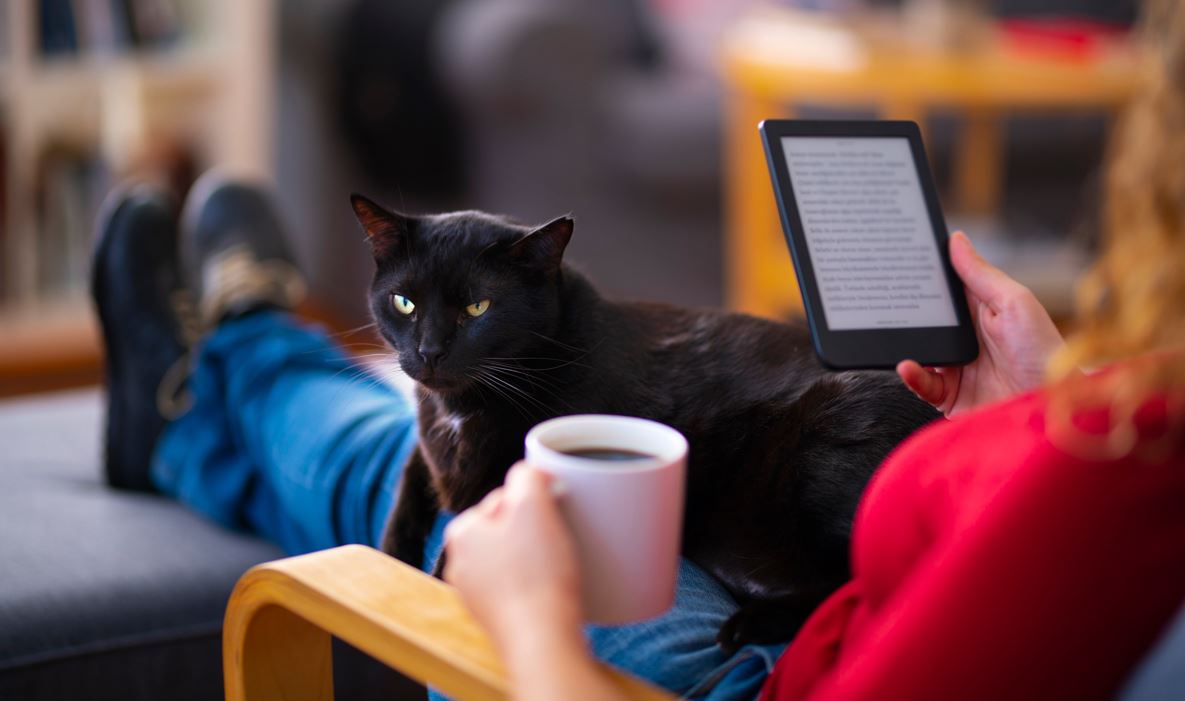 lettrice ebook gatto