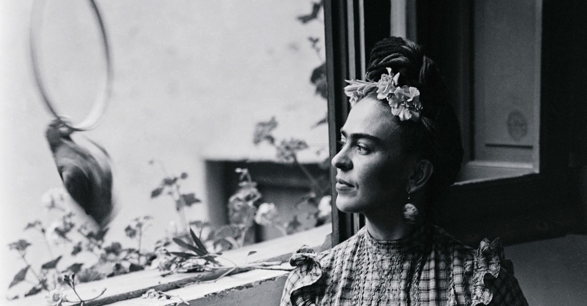 Frida Kahlo: i libri che raccontano la grande artista e attivista messicana