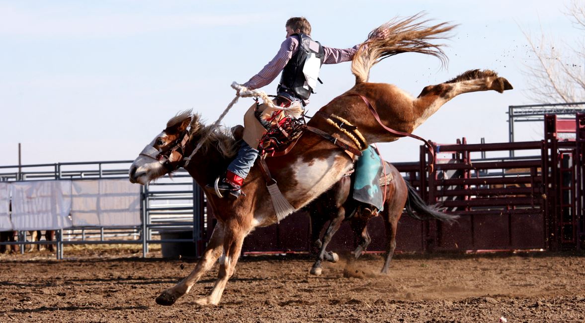 rodeo