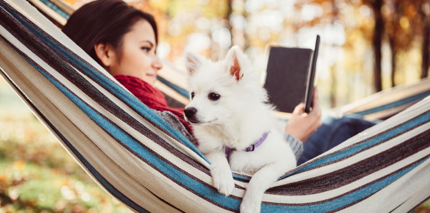 leggere, ebook, estate, ragazza, lettura, cane