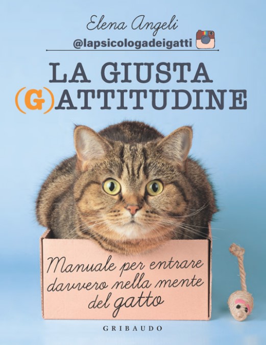 La giusta (g)attitudine di Elena Angeli libri da leggere estate 2023