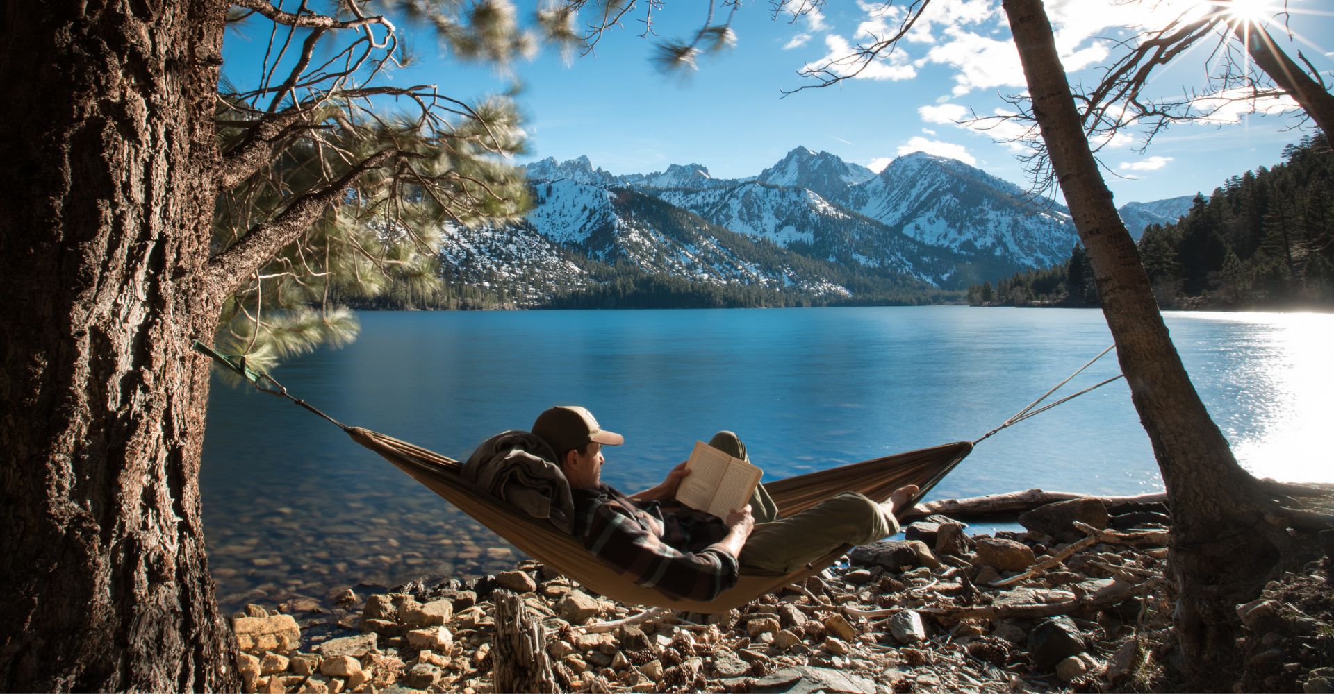 leggere, lettore, lettura, uomo, natura, libro