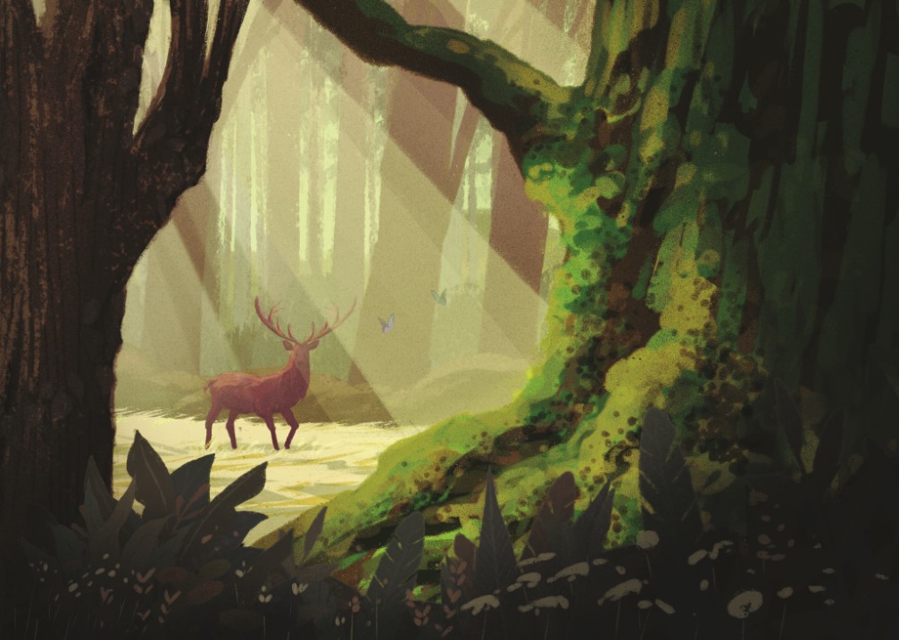 Yakushima, illustrazione tratta da Shimaguni. Atlante narrato delle isole del Giappone di Francesca Scotti