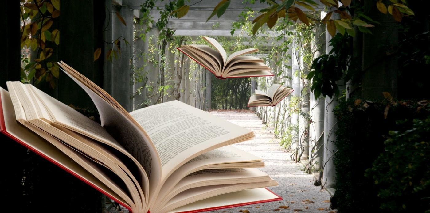libri fantasy